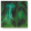 Evergreen, CG-961 Evergreen, CG-961