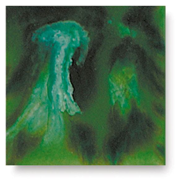 Evergreen, CG-961