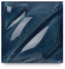 Navy, F-21