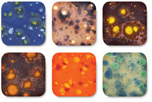 Set No. 3, Class Pack of 6&nbsp;&nbsp; NEW! 
