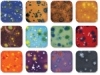Set No. 4, Class Pack of 12