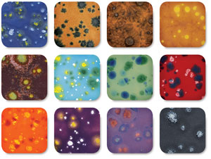 Set No. 4, Class Pack of 12