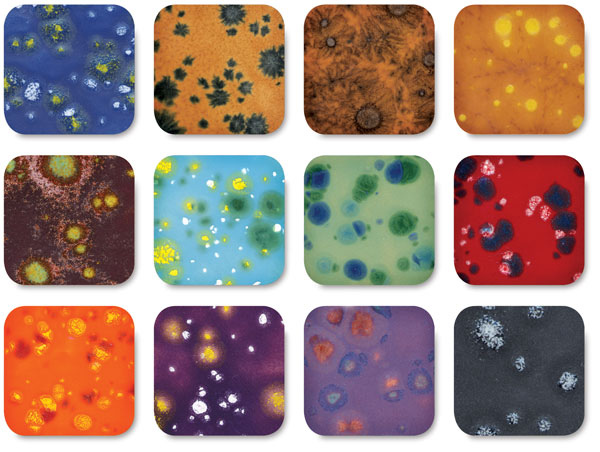 Set No. 4, Class Pack of 12