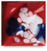 Firecracker, CTL-54