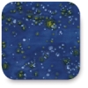 Moody Blue, CTL-23 Moody Blue, CTL-23