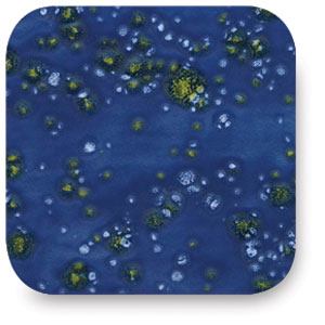 Moody Blue, CTL-23