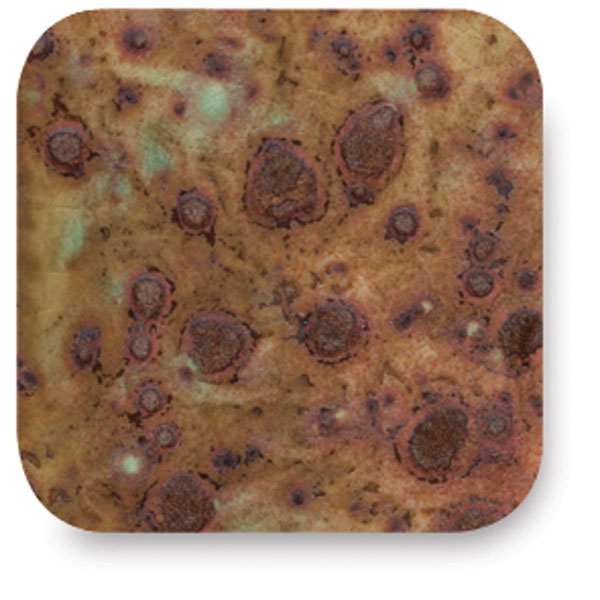 Chocolate Chip, CTL-32