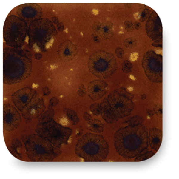 Ginger Bread, CTL-36