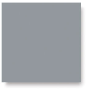Gray Hare, SC-35