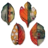 "Autumn" by Sherryl Zacharia