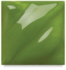 SS 206 Clover Green