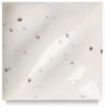 Dalmation, LT-13