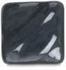 2 Black Tulip