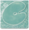 Celadon
