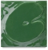 Christmas Green
