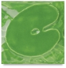 Irish Green