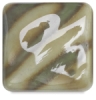 Seaweed