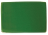Frog Green