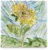 Vincent Van Gogh &ndash;- Sunflowers