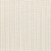 Designer's Mesh
