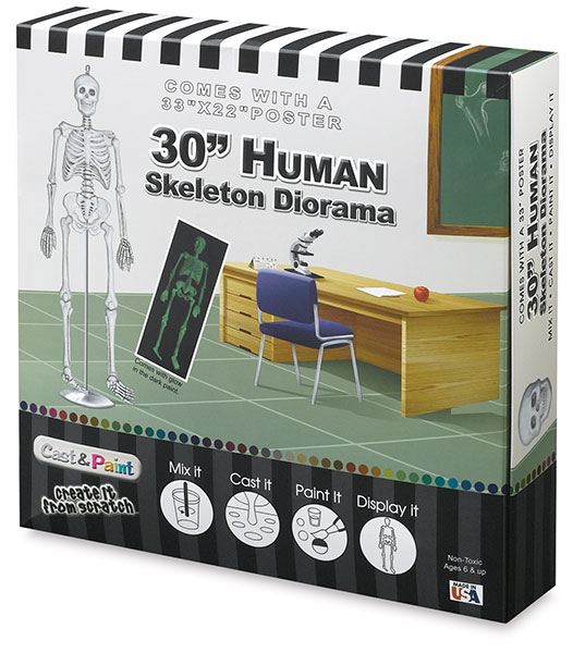 Diorama Casting Kit, Human Skeleton