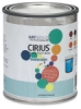 Silicone Paint Medium, 16 oz Can