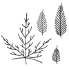 Leaf Set 3, Leaf Vein Texture Plates