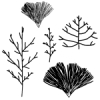 Leaf Set 4, Leaf Vein Texture Plates
