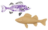 Gyotaku Fish Printing Replicas
