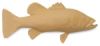 Bass