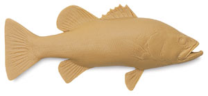 Bass
