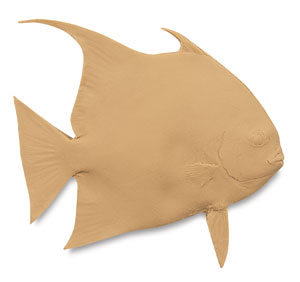 Angel Fish