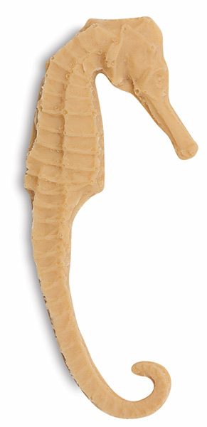Sea Horse