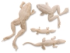 4-Piece Reptile Set