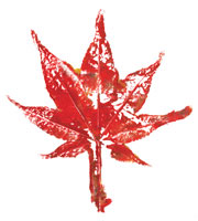 Leaf Print Set