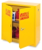 Safety Cabinet, 22 Gallon Capacity