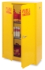 Safety Cabinet, 45 Gallon Capacity