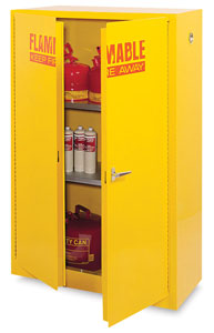 Safety Cabinet, 45 Gallon Capacity