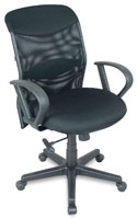 Alvin Salambro Mesh Chair