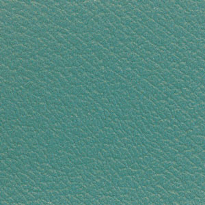 Teal Vinyl