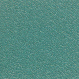 Teal Vinyl