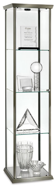 Visions Series Display Case, Silver