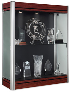 Wall Dispaly Case, Cherry Base with Satin Frame and Black Backing