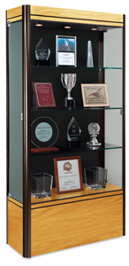 Medium Dispaly Case, Light Maple Base with Dark Bronze Frame and Black Backing