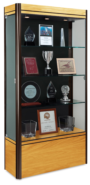 Medium Dispaly Case, Light Maple Base with Dark Bronze Frame and Black Backing