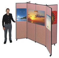 Screenflex Mobile Display