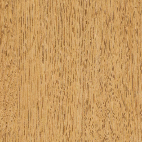 Light Oak