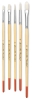 Assorted Bristle Brushes, Set of 5