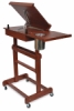 Rolling Painting Table as Easel, Side View