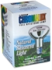 Halogen Flood Bulb